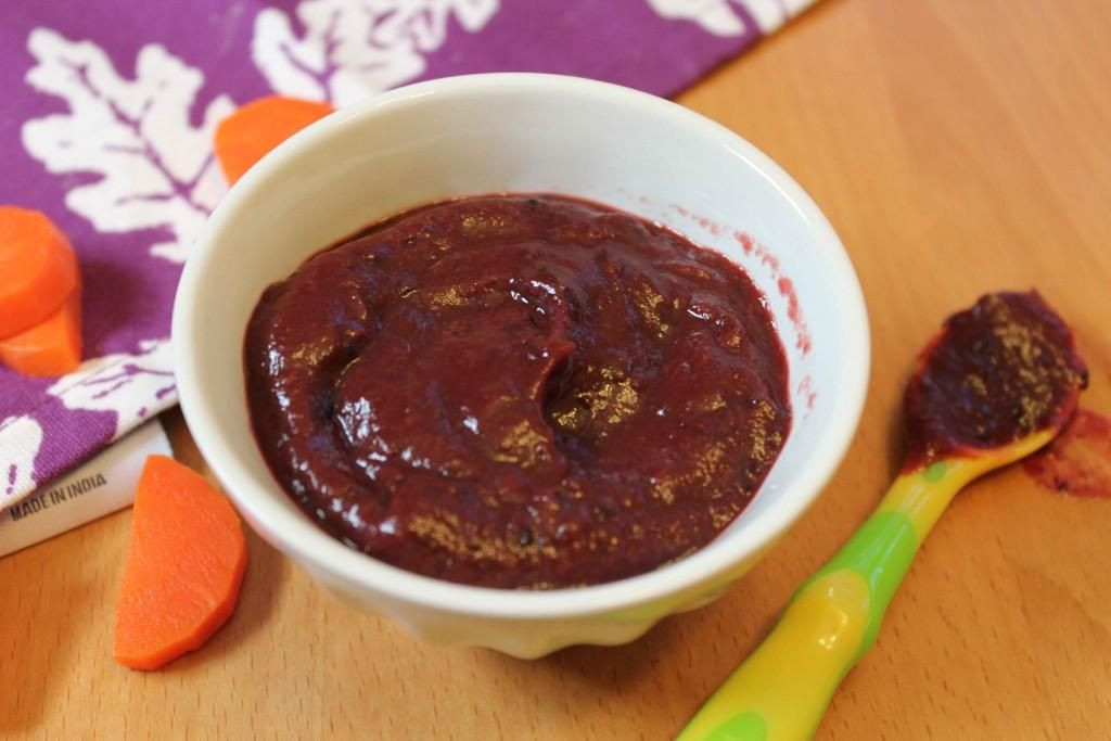 Blueberry Baby Food Recipes
 Carrot Blueberry Baby Puree