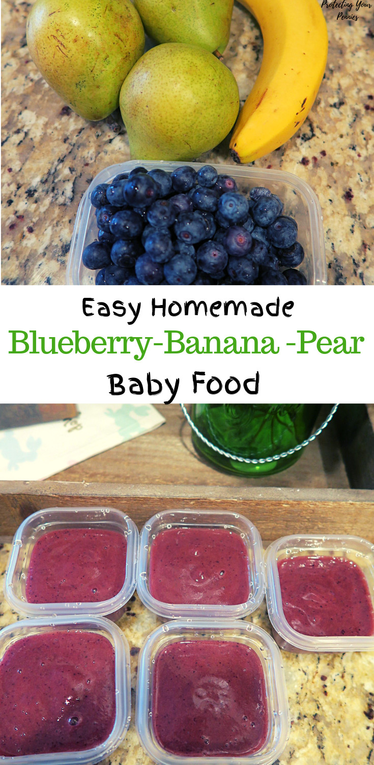 Blueberry Baby Food Recipes
 5 minute Blueberry Banana Pear Baby Food Puree