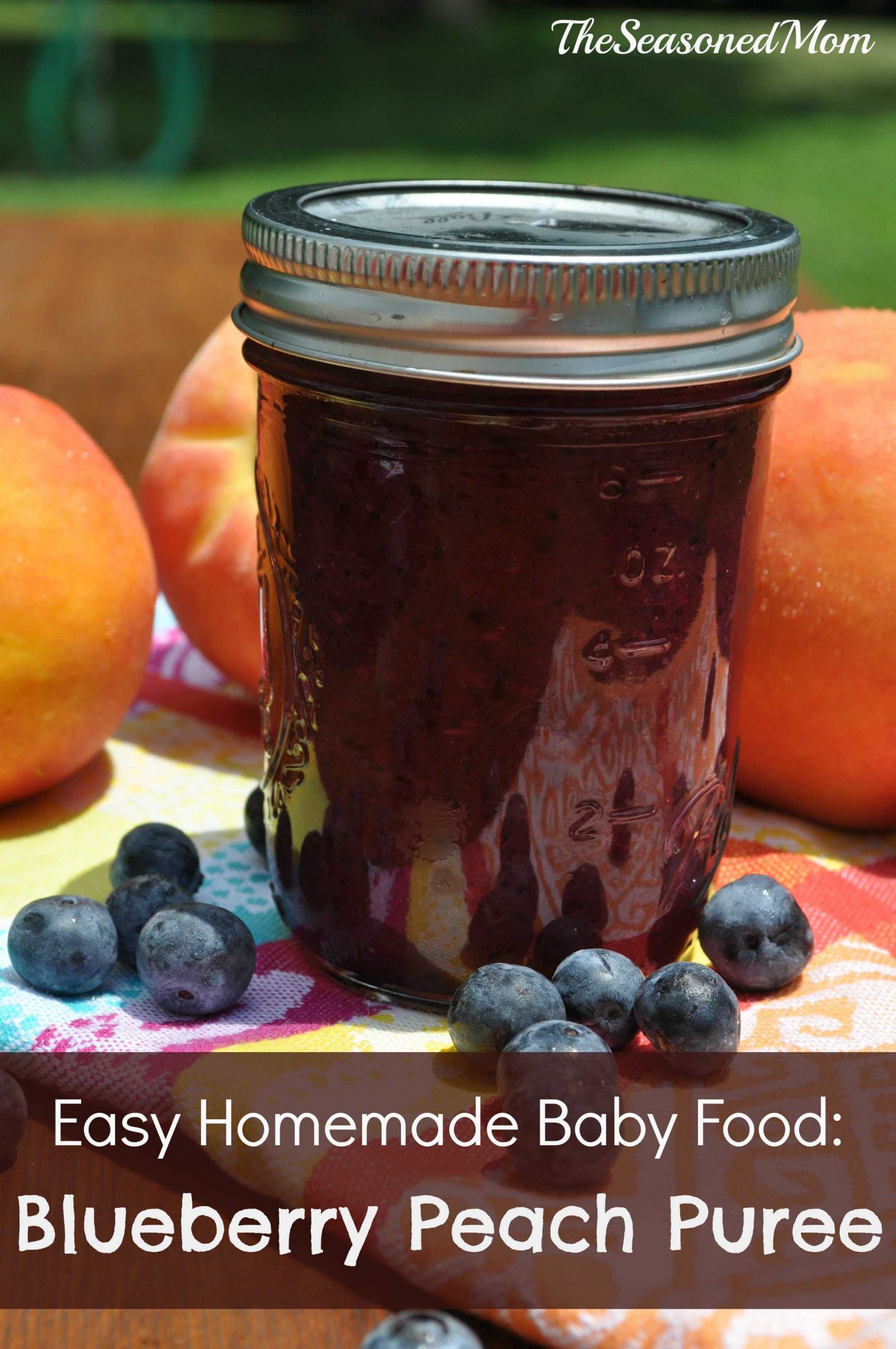 Blueberry Baby Food Recipes
 Easy Homemade Baby Food Blueberry Peach Puree The