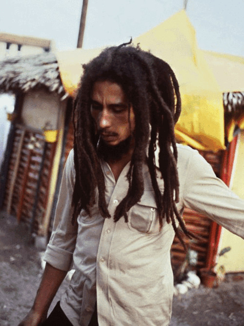 Bob Marley Hairstyle
 THE BEST “HOW TO GROW ORGANIC FREEFORM LOCKS” ON THE NET