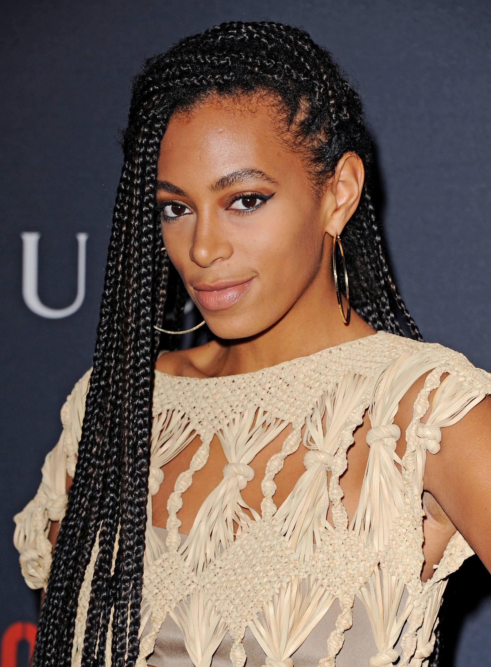 Box Braids Hairstyles
 Celebrity Box Braids Hairstyles To Get Ispired With