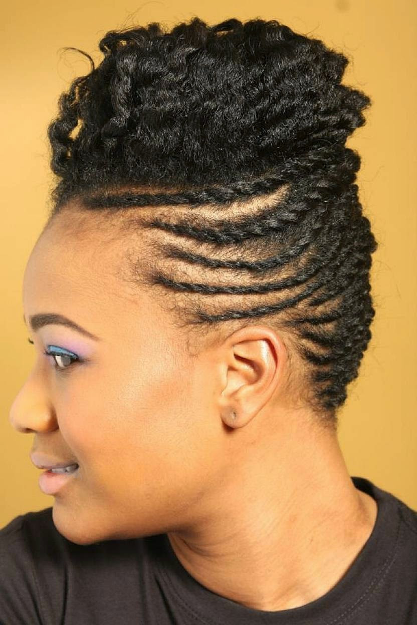 Braids Hairstyles Natural Hair
 Top 39 Easy Braided Natural Hairstyles