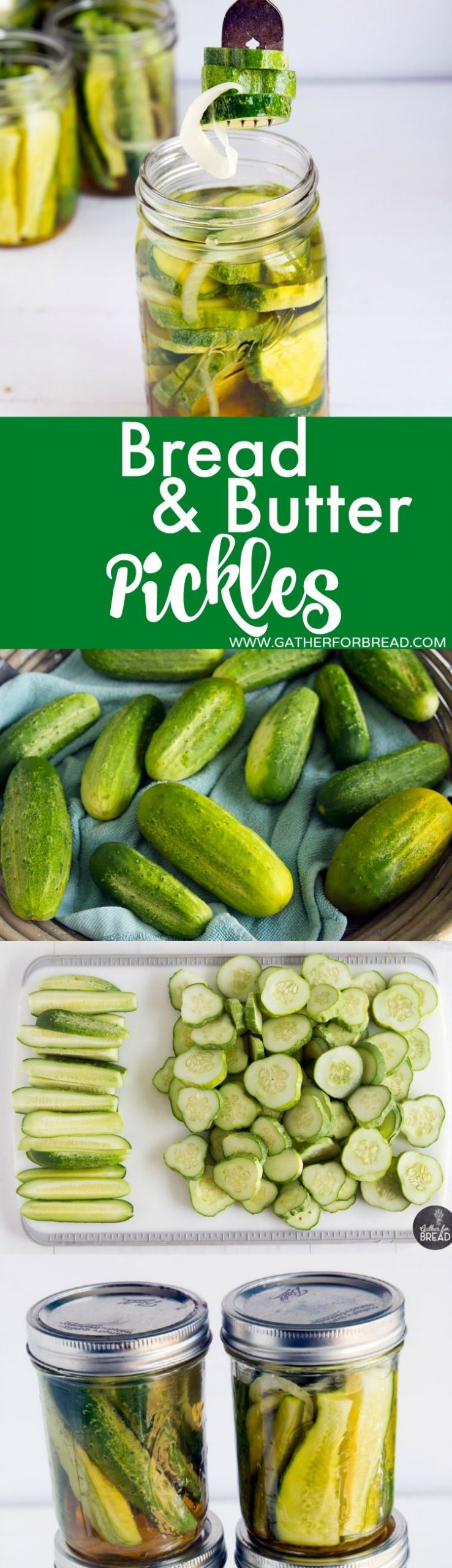 Bread And Butter Pickle Canning Recipe
 How to Make Bread and Butter Refrigerator Pickles No