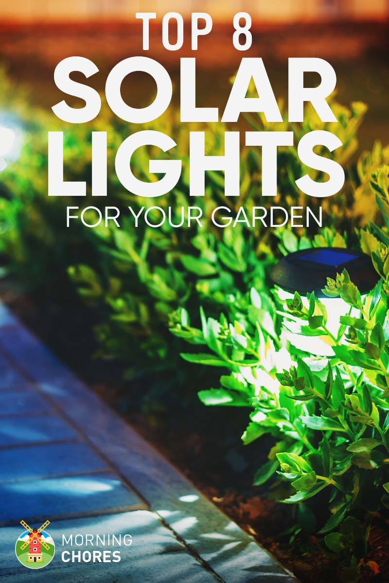 Brightest Solar Landscape Lights
 8 Best & Brightest Solar Lights for Garden & Outdoor