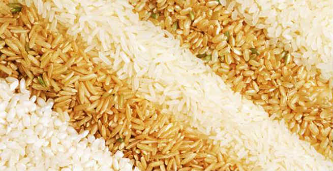Brown Rice Vs White Rice Weight Loss
 Brown Rice Vs White Rice for Weight Loss