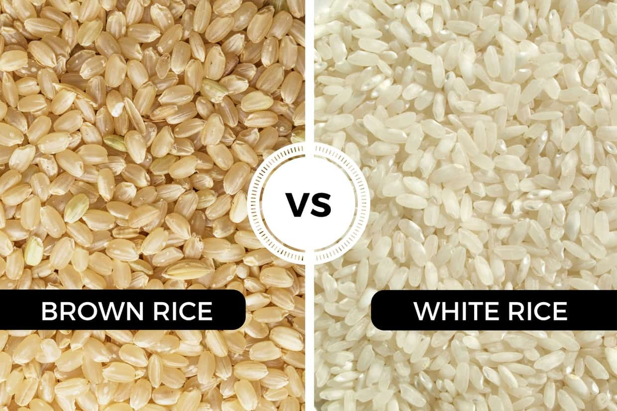 Brown Vs White Rice
 Brown Rice vs White Rice What are the differences