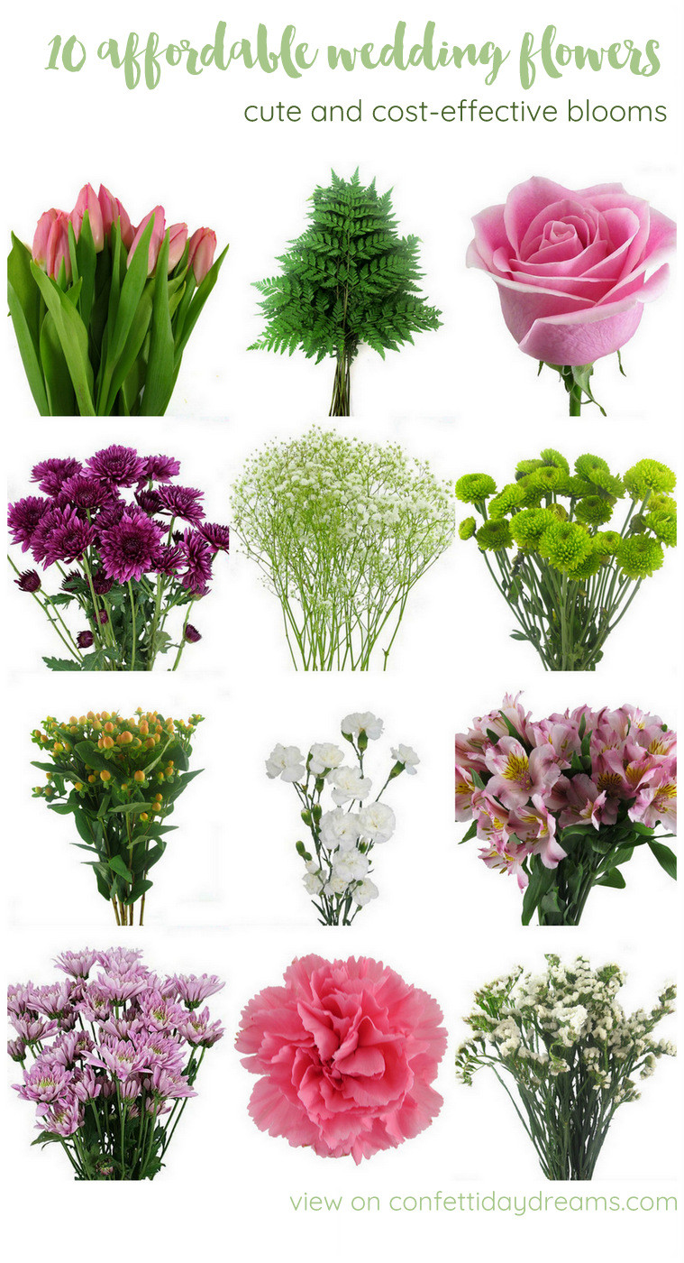 Budget Wedding Flowers
 The Most Affordable Types of Wedding Flowers on a Bud