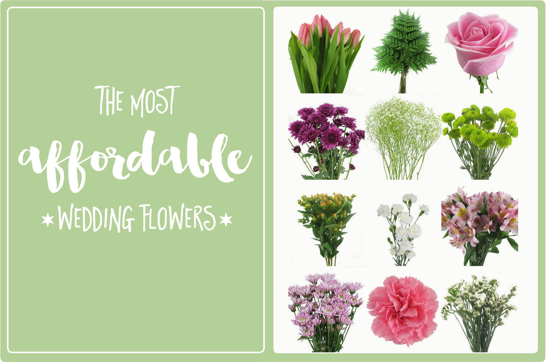 Budget Wedding Flowers
 The Most Affordable Types of Wedding Flowers on a Bud