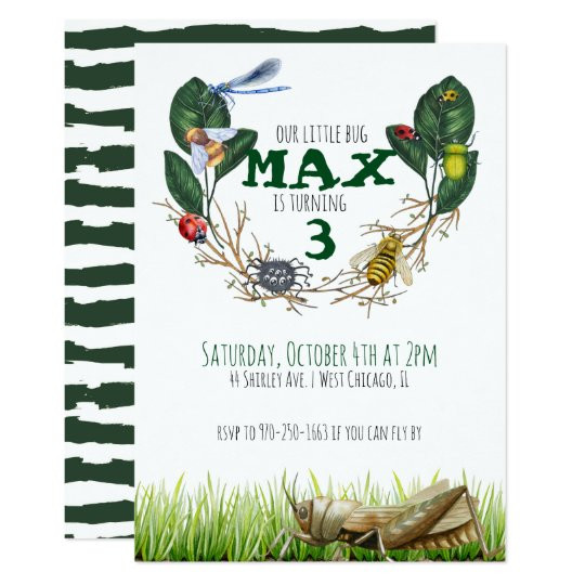 Bug Birthday Invitations
 Bug Themed Birthday Party Invitation