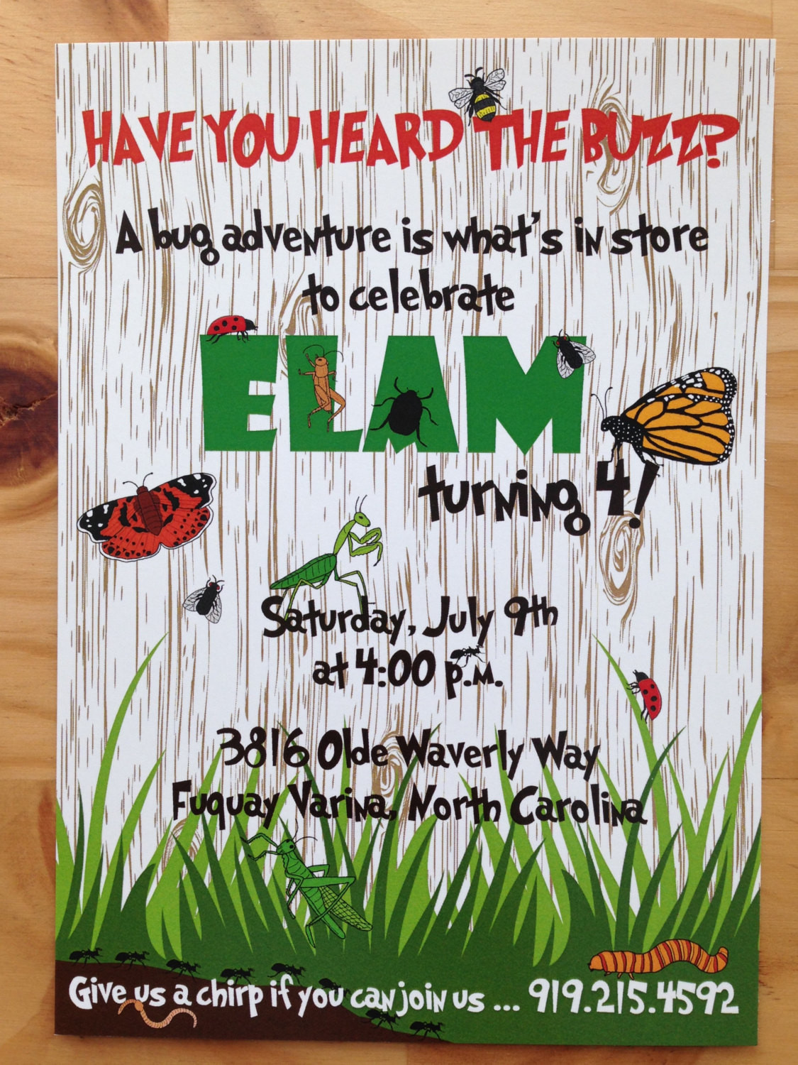 Bug Birthday Invitations
 Bug Birthday Invitation Insect Birthday Party Boy Bug