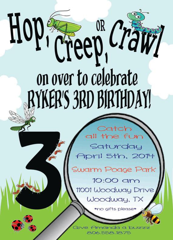 Bug Birthday Invitations
 Bug Theme Birthday Party Invitation by distinguishingdetail