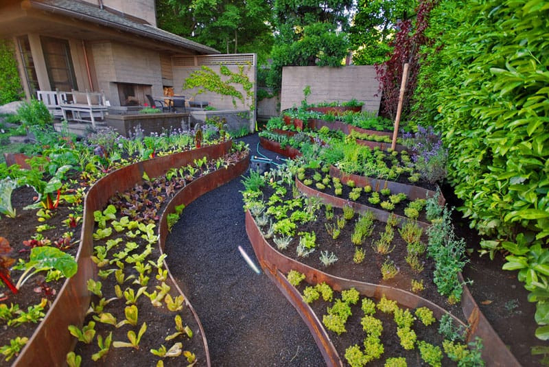 Building Terrace Landscape
 How To Turn A Steep Backyard Into A Terraced Garden