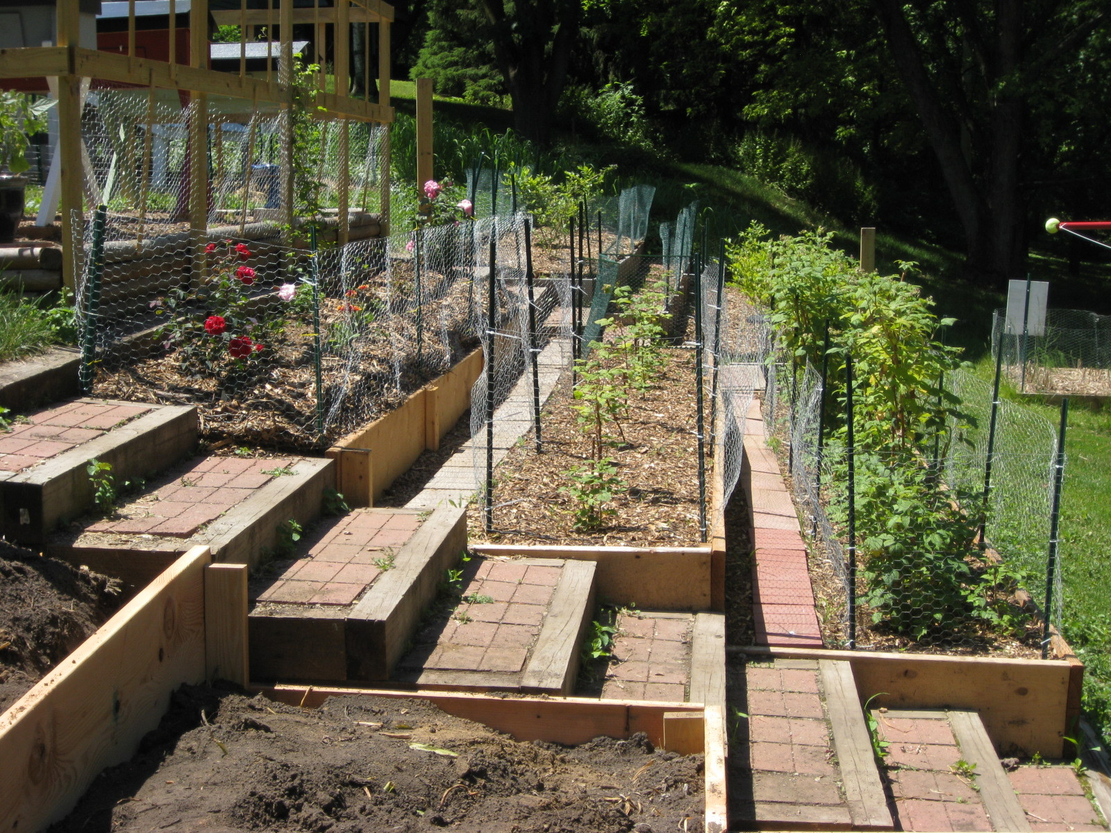 Building Terrace Landscape
 Red Bucket Farm Garden Terraces