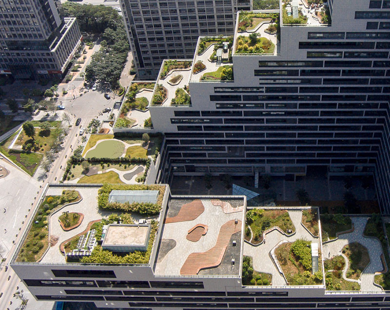 Building Terrace Landscape
 This Building Is Covered In Fully Landscaped Rooftop