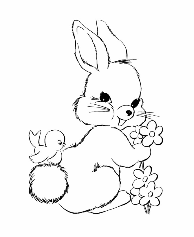 Bunny Coloring Pages For Kids
 Bunny Coloring Pages Best Coloring Pages For Kids