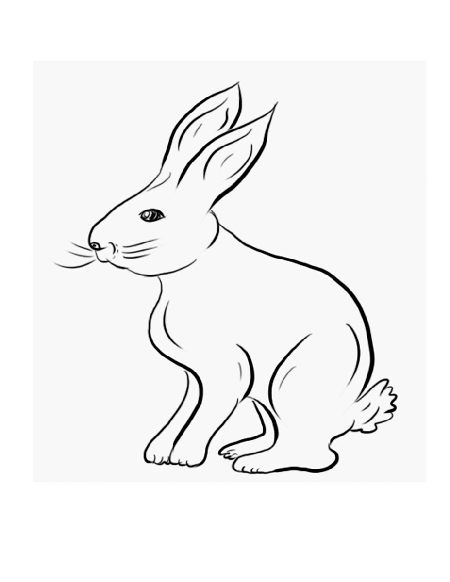 Bunny Coloring Pages For Kids
 Free Printable Rabbit Coloring Pages For Kids