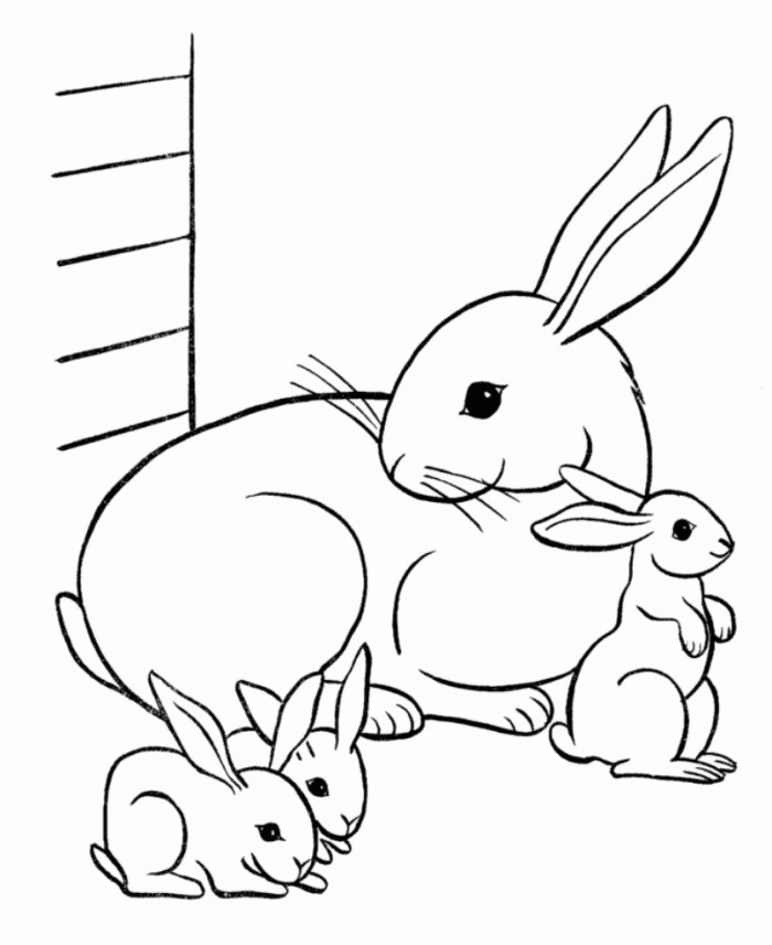Bunny Coloring Pages For Kids
 Bunny Coloring Pages Best Coloring Pages For Kids