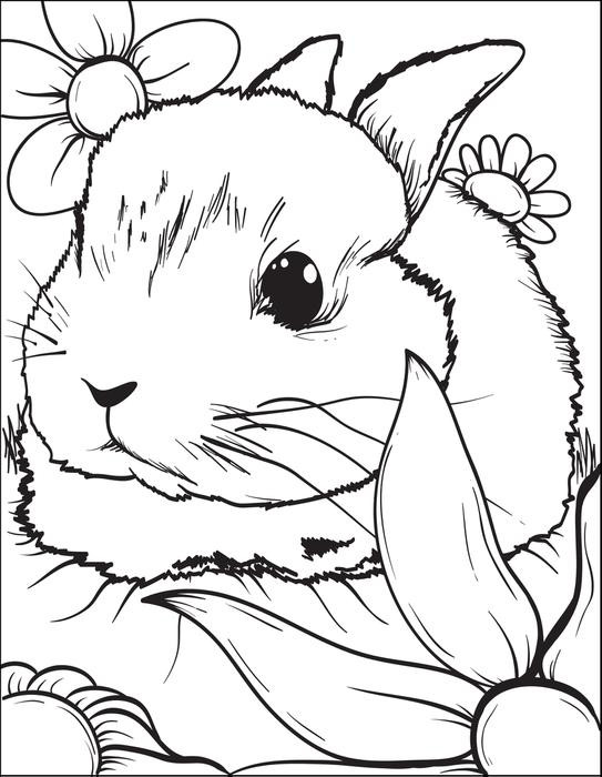 Bunny Coloring Pages For Kids
 Bunny Coloring Pages Best Coloring Pages For Kids