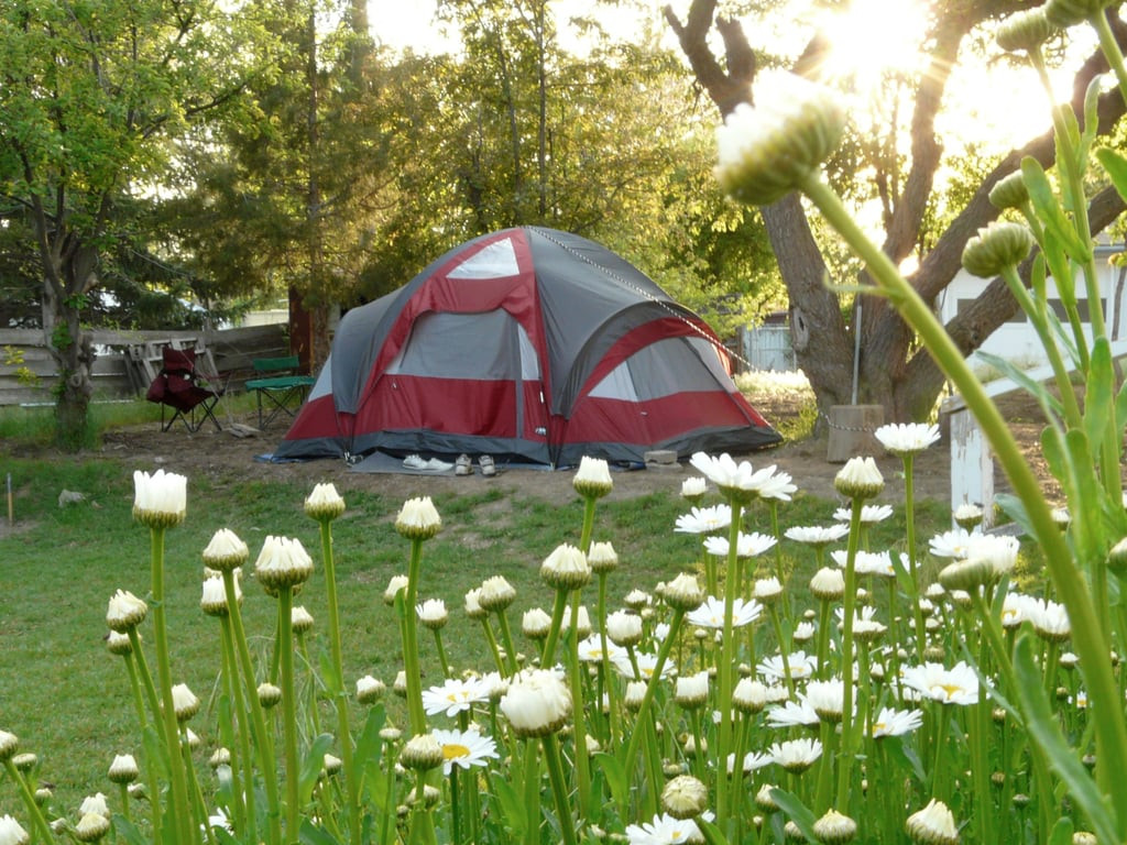 Camping In Your Backyard
 How to Camp in Your Backyard