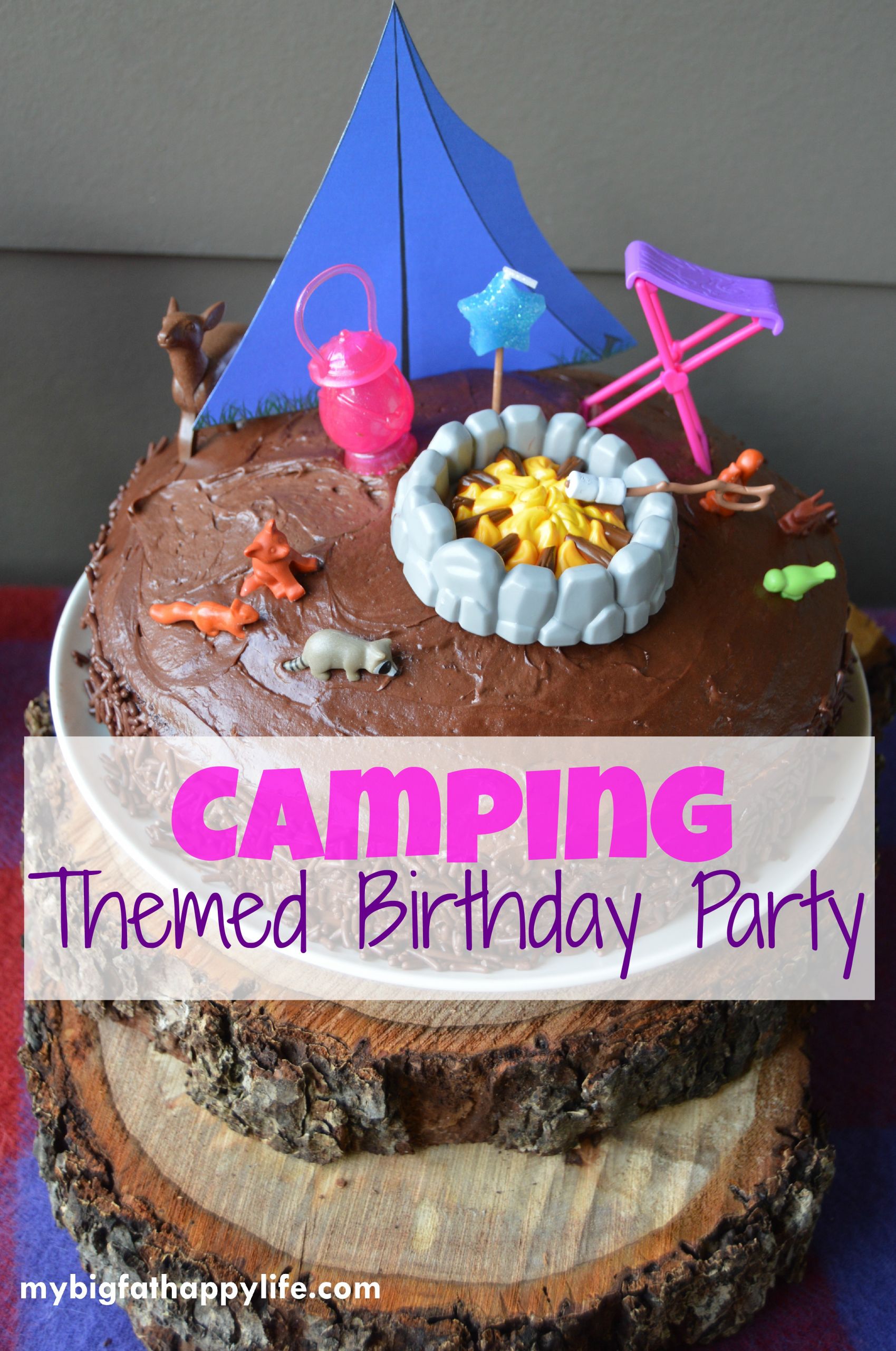 Camping Themed Birthday Party
 Camping Themed Birthday Party My Big Fat Happy Life