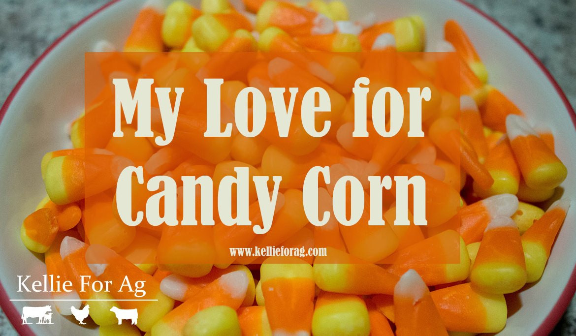 Candy Corn Meme
 Random Life of Kellie Archives Kellie For Ag