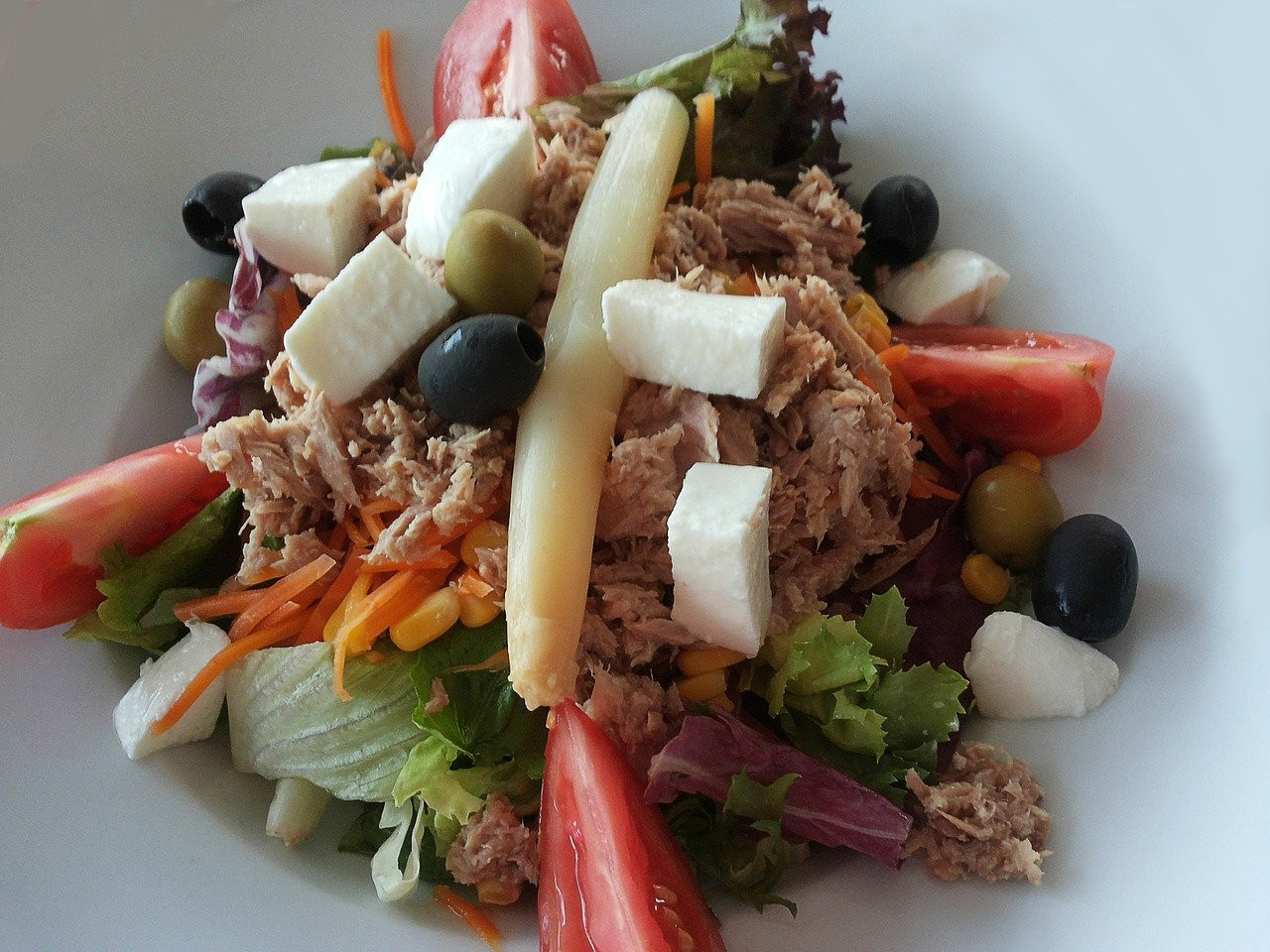 Canned Salmon Salad Recipe
 Canned Salmon Salad Frugal Recipe Sandwiches