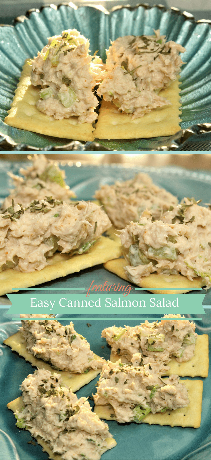 Canned Salmon Salad Recipe
 Easy Canned Salmon Salad Recipe Trisha Dishes