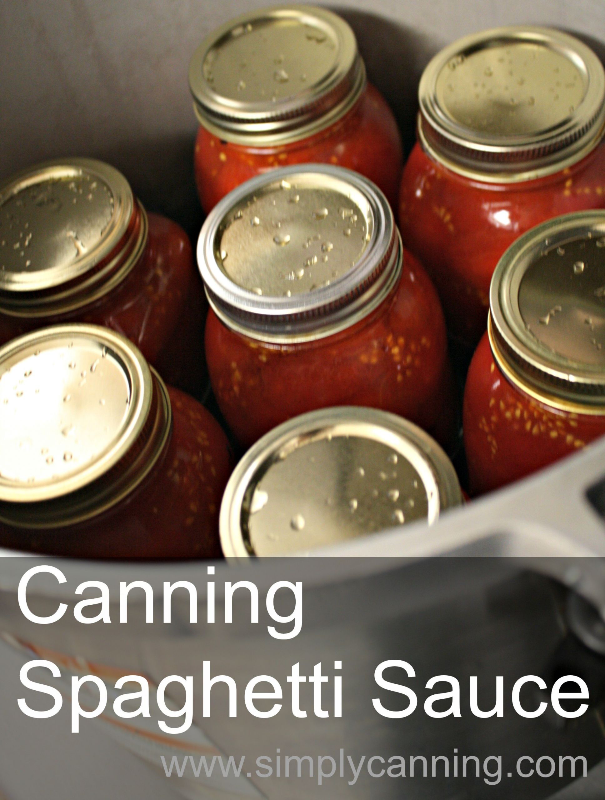 Canning Spaghetti Sauce With Meat
 Canning Spaghetti Sauce Recipe with meat that will save