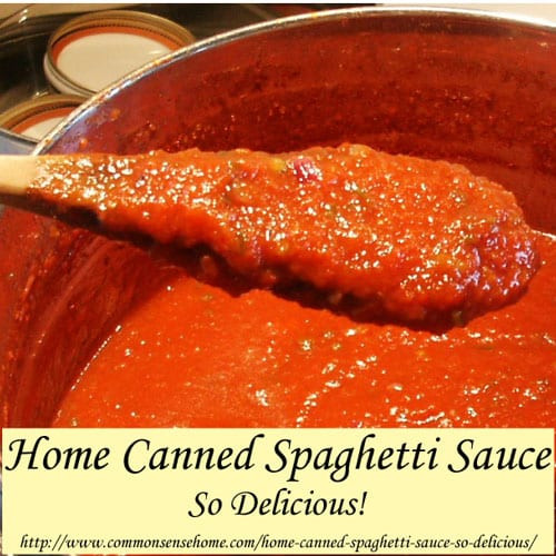 Canning Spaghetti Sauce With Meat
 Home Canned Spaghetti Sauce