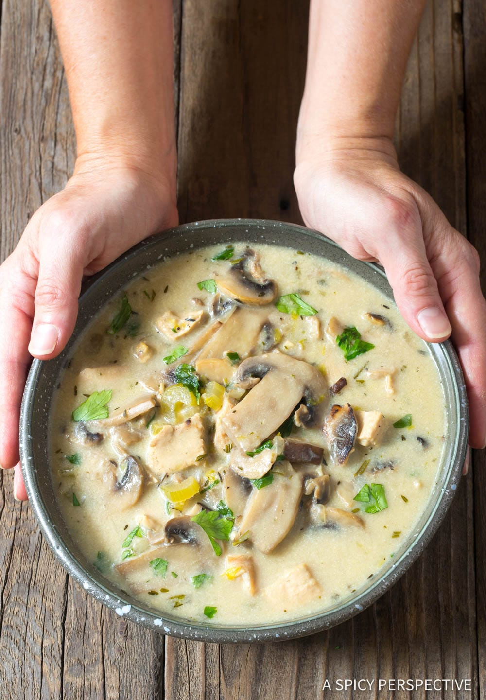 Carbs In Cream Of Chicken Soup
 Low Carb Creamy Chicken Mushroom Soup Video A Spicy