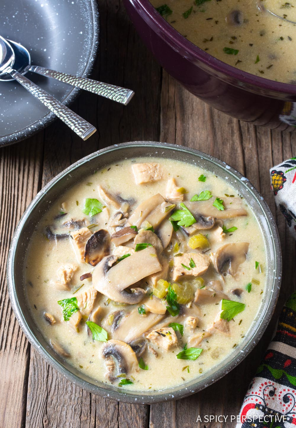 Carbs In Cream Of Chicken Soup
 Low Carb Creamy Chicken Mushroom Soup Video A Spicy