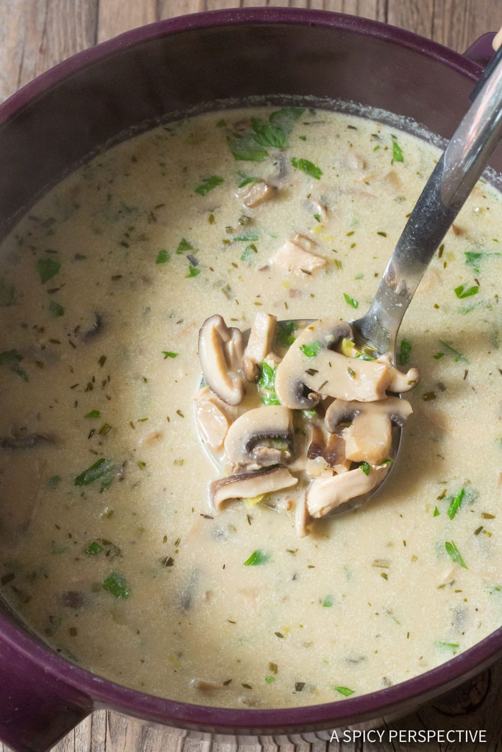 Carbs In Cream Of Chicken Soup
 Low Carb Creamy Chicken Mushroom Soup Video A Spicy