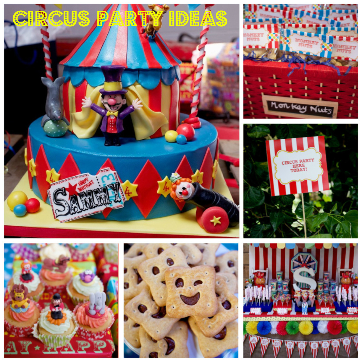 Carnival Birthday Party
 Colorful Circus