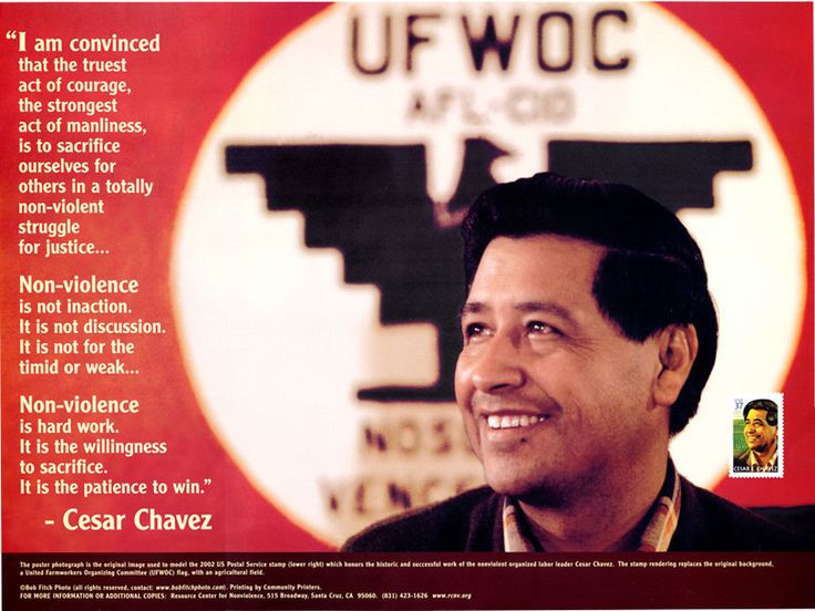 Cesar Chavez Quotes On Education
 Cesar Chavez Quotes Education QuotesGram