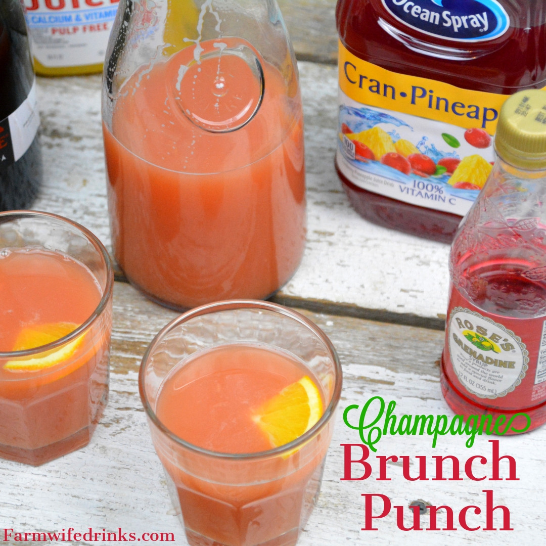 Champagne Drinks For Brunch
 Champagne Brunch Punch Christmas Punch The Farmwife Drinks