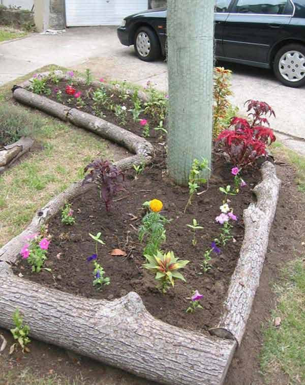 Cheap Landscape Edging Ideas
 37 Creative Lawn and Garden Edging Ideas with