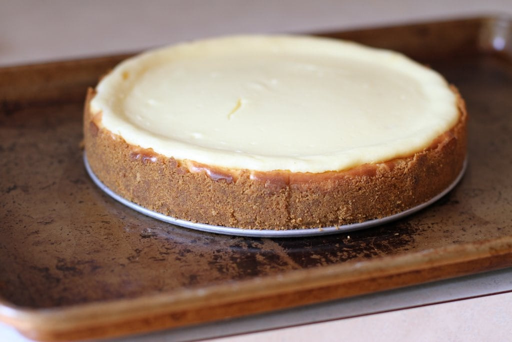 Cheesecake Recipe Springform Pan
 crustless cheesecake in springform pan