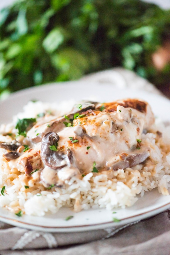 Chicken And Rice With Cream Of Mushroom Soup
 Cream of Mushroom Chicken Go Go Go Gourmet