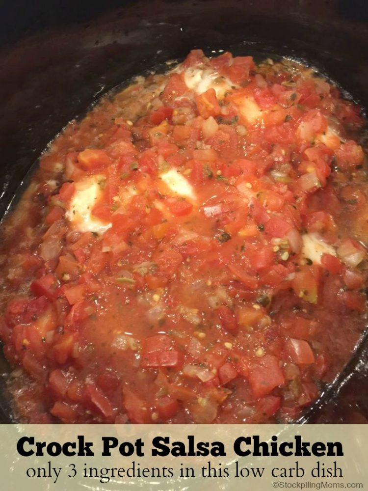 Chicken And Salsa Recipe
 Crock Pot Salsa Chicken Recipe