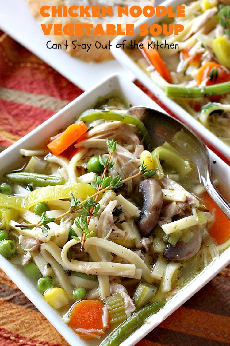Chicken Noodle Soup With Vegetables
 Chicken Noodle Ve able Soup Can t Stay Out of the Kitchen