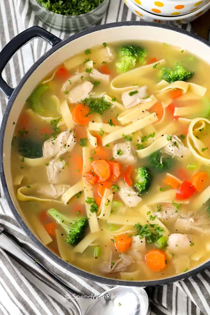 Chicken Noodle Soup With Vegetables
 Homemade Chicken Noodle Soup Spend With Pennies