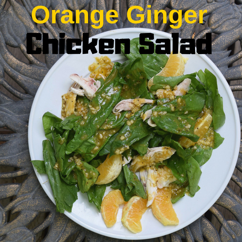 Chicken Salad Chick Nutrition
 Orange Ginger Chicken Salad Utah