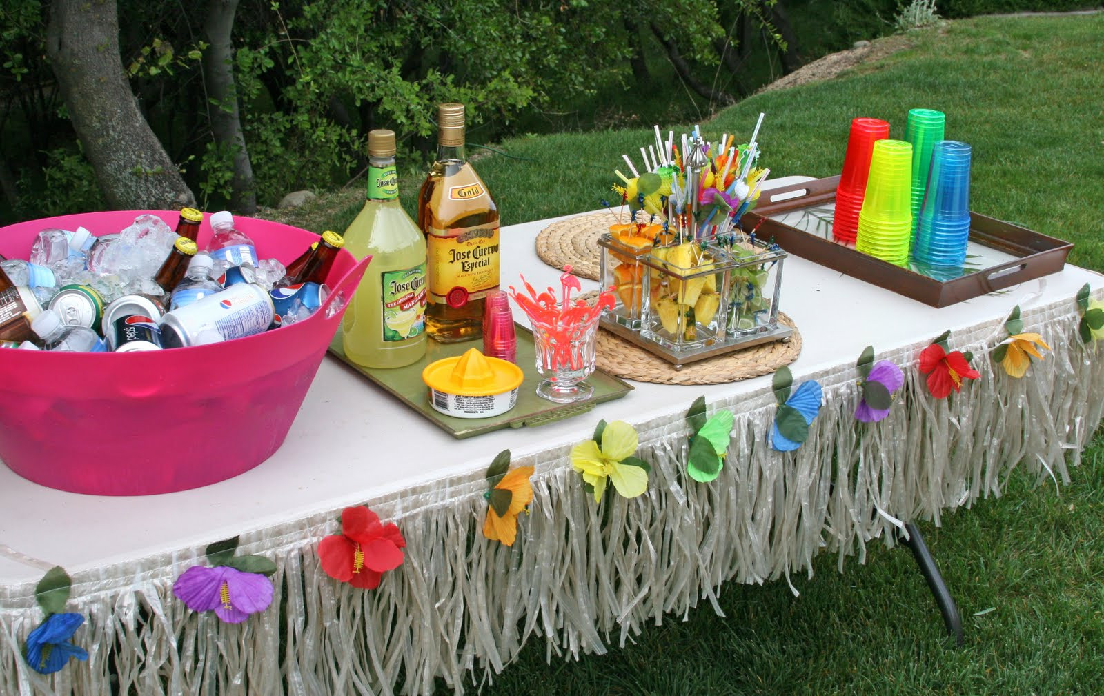 Child Luau Party Ideas
 The fice Furniture Blog at ficeAnything 5 Awesome