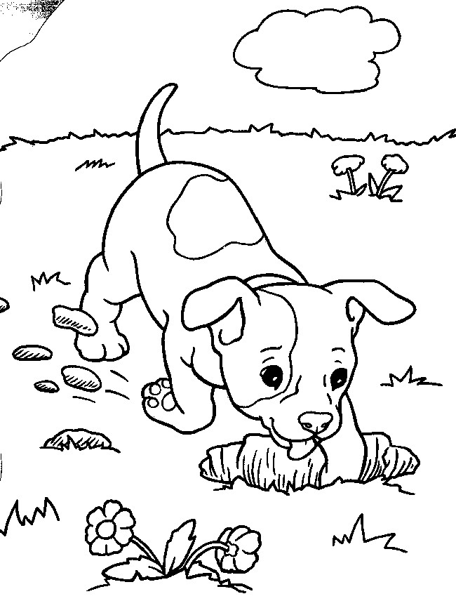 Children Coloring Game
 Coloring Ville