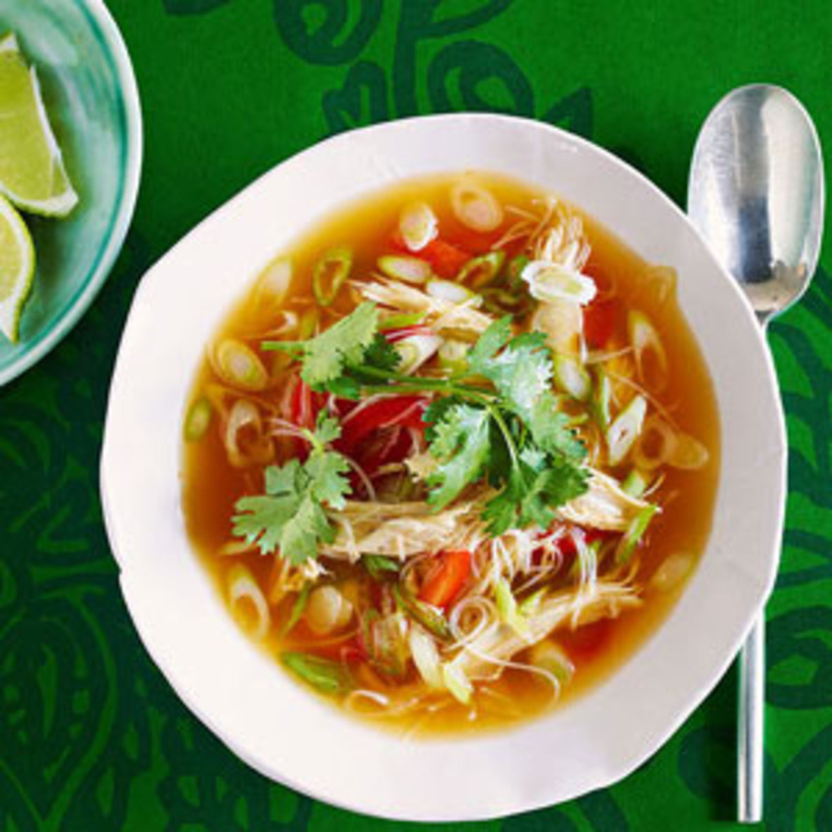 Chinese Chicken Noodle Soup Recipe
 Chicken Soup Recipes Rachael Ray Every Day