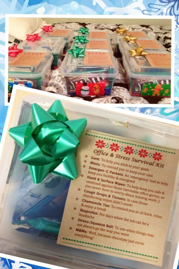 Christmas Gift Ideas For Office Staff
 The " fice Stress Survival Kits" I made for my coworkers