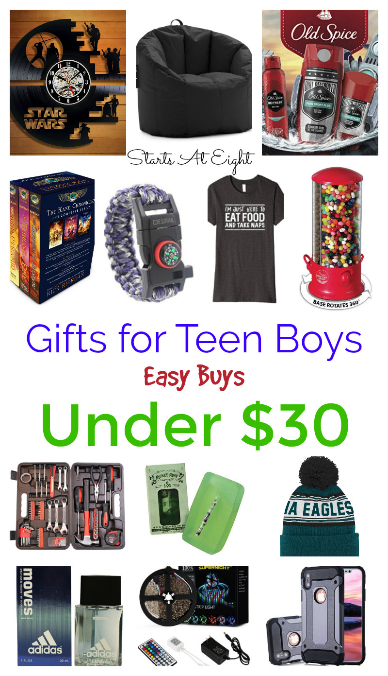Christmas Gift Ideas For Teenage Boys
 Gifts for Teen Boys Easy Buys Under $30 StartsAtEight