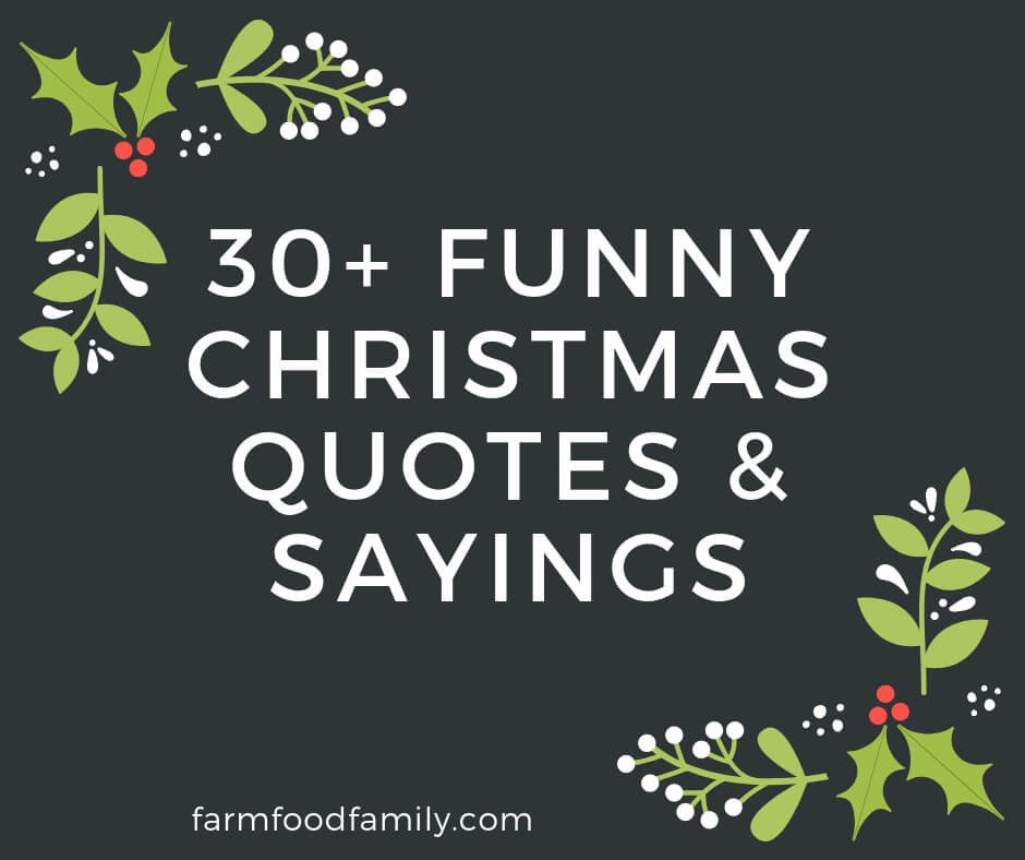 Christmas Holiday Quotes
 30 Funny Christmas Quotes & Sayings That Make You Laugh