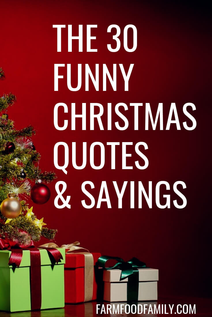 Christmas Holiday Quotes
 30 Funny Christmas Quotes & Sayings That Make You Laugh