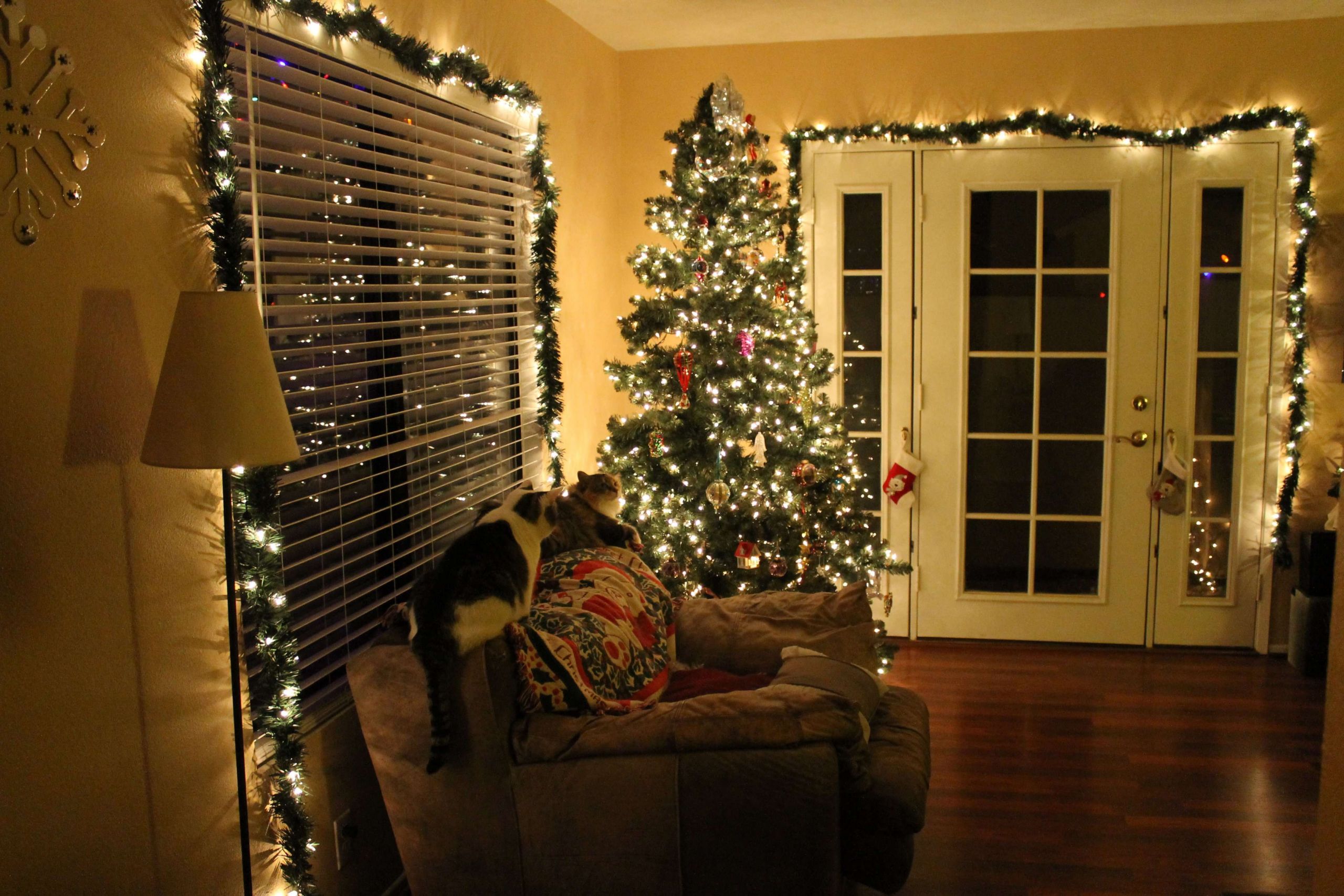 Christmas Indoor Lights
 Get Decorative This Christmas Mozaico Blog